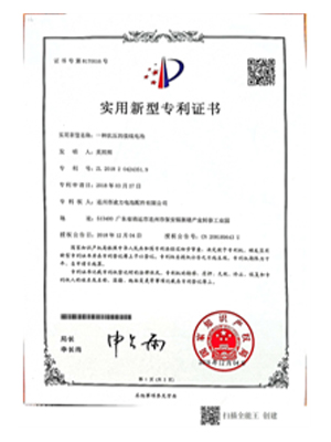 實用新型專利證書（一種（zhǒng）抗壓的接線電池）