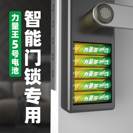 力量王電池5號玩具電池5號堿性幹電池五號遙控器電池1.5v通用